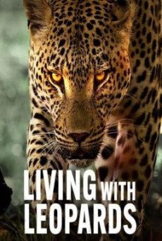 Living with Leopards อยู่กับเสือดาว  NETFLIX