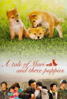 A Tale of Mari and Three Puppies (Mari to koinu no monogatari) เพื่อนซื่อ... ชื่อ มาริ